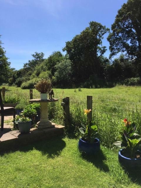 Bridge Cottage Midhurst Esterno foto